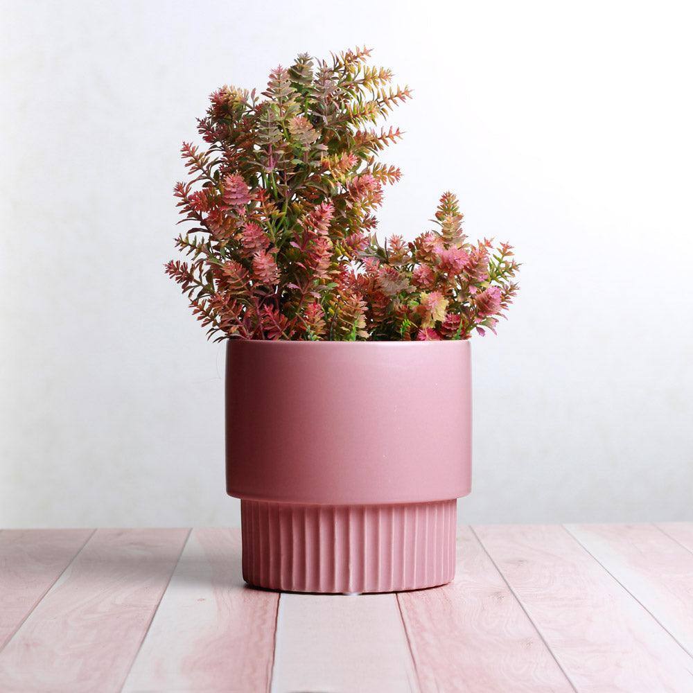 Seasonal Potted Bloom